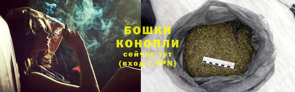 шишки Вязники