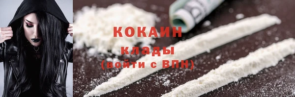 шишки Вязники