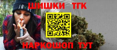 крисы Камышлов