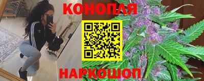 крисы Камышлов
