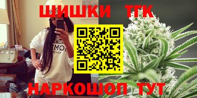 крисы Камышлов