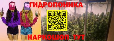 крисы Камышлов