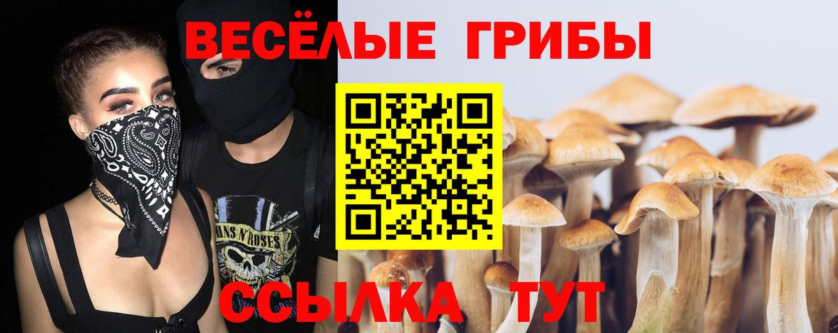 Галлюциногенные грибы GOLDEN TEACHER Назарово